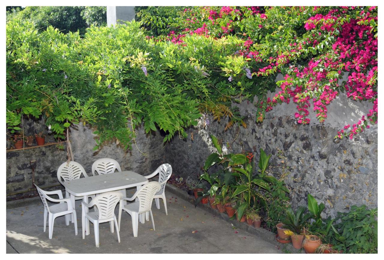 Casa Com Quinta Tradicional Villa Pico da Pedra Exteriör bild